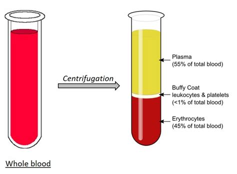 liquid that looks like blood